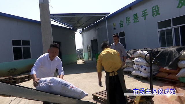 市场主体谈成效 张剑雄:绿色小菱角 吃出幸福感