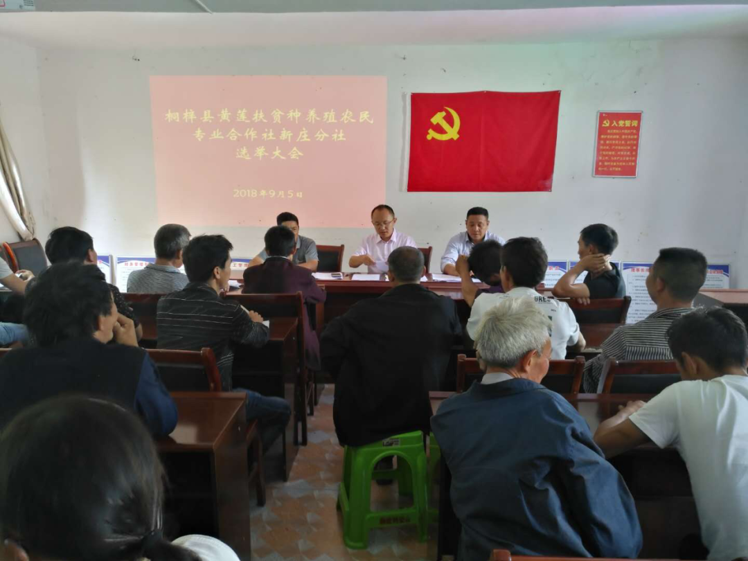 我的扶贫故事 | 陈永强:"造血"式扶贫让黄莲新庄群众腰包鼓起来